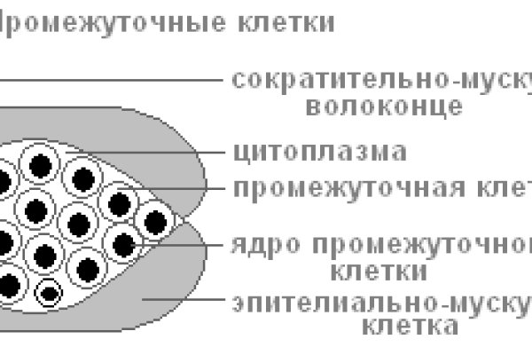 Как зайти на blacksprut blacksprut click