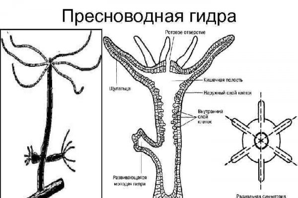 Как зайти через blacksprut